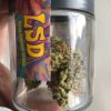 LSD Marijuana Strain