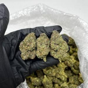 Birthday Cake Strain, dosi cake strain