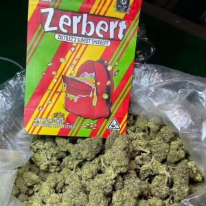 white zerbert strain