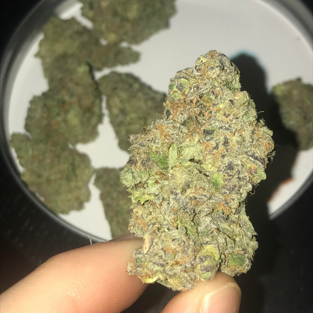 Cadillac Rainbow Strain Kush Groves