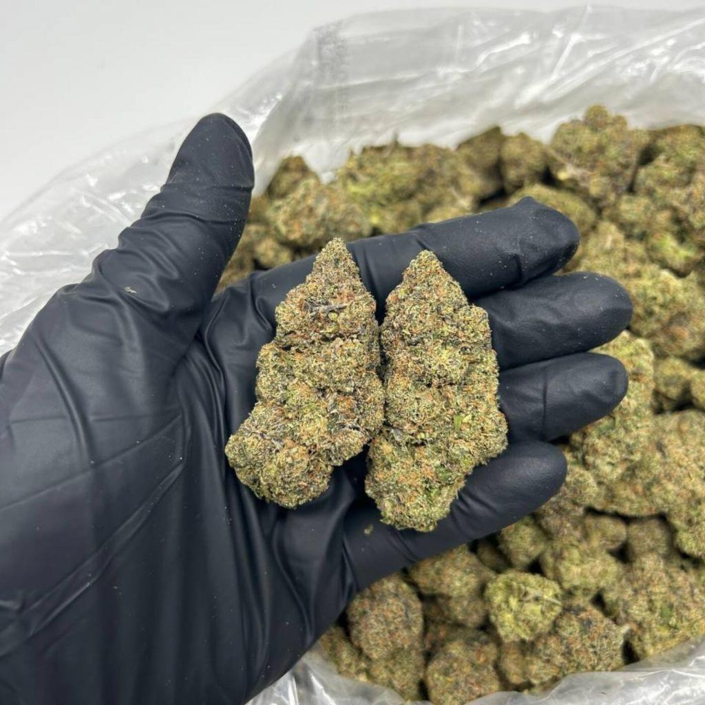 Pomelo Anderson Strain Kush Groves