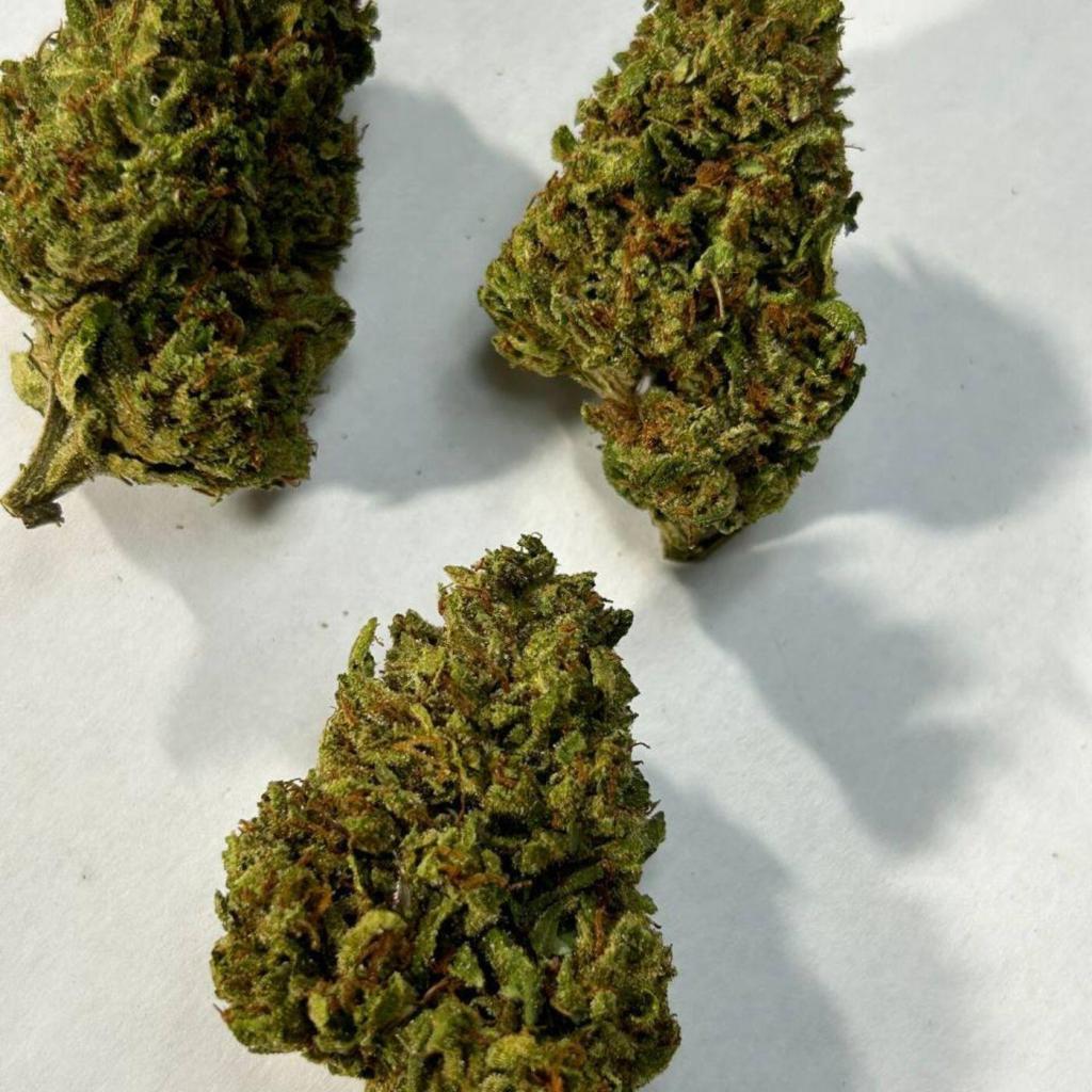 Pomelo Anderson Strain Kush Groves