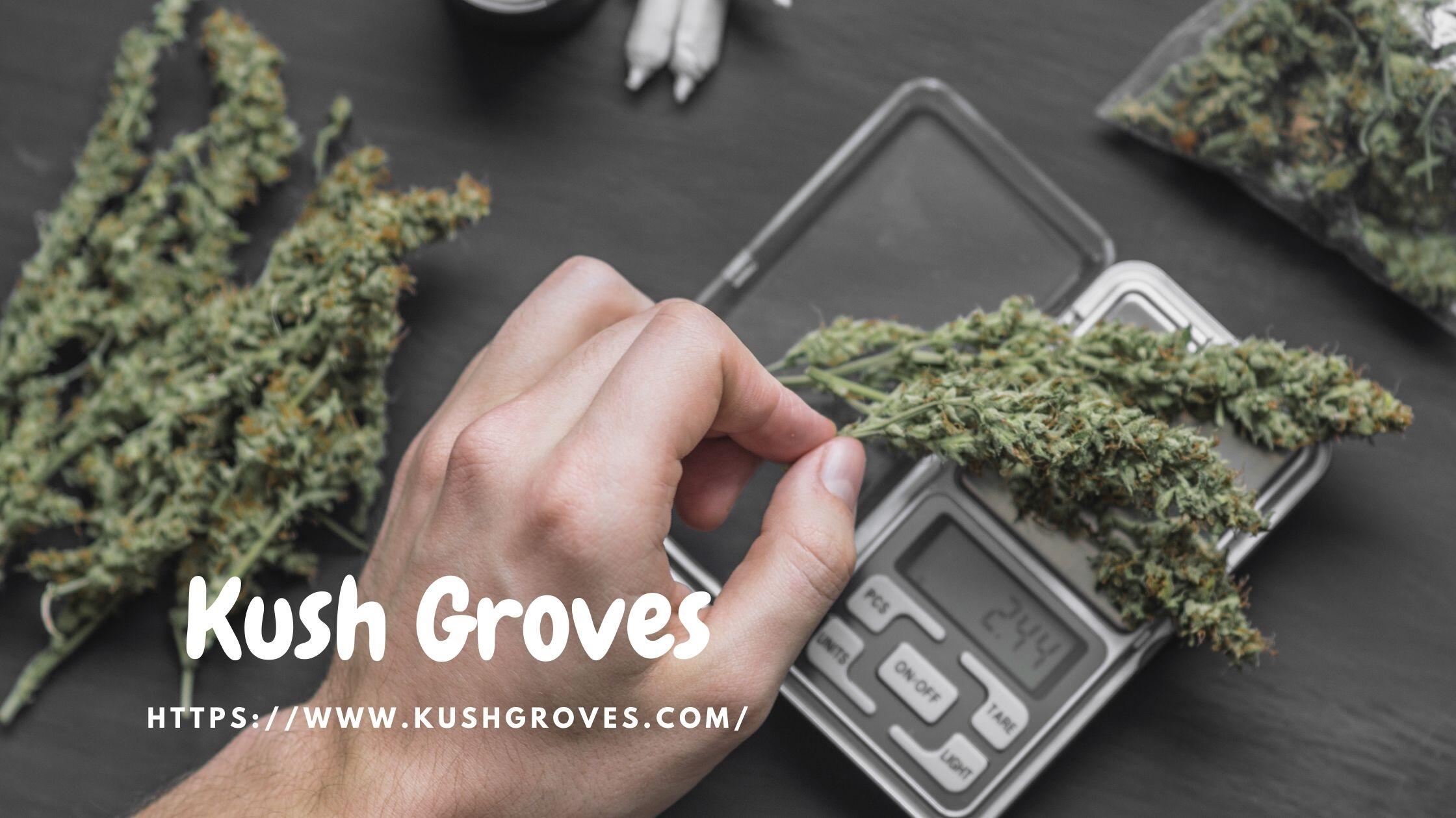 how to find a reliable weed dealer, how to find a reliable weed dealer