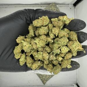 Gelato 33 Weed Strain