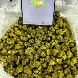 Buy Gorilla Glue 4 online, gorilla glue #4 strain, cannabis gorilla glue, gg#4, gorilla glue 4, Gorilla Glue Weed Canada,