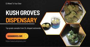 jungle boy weed dispensary near me