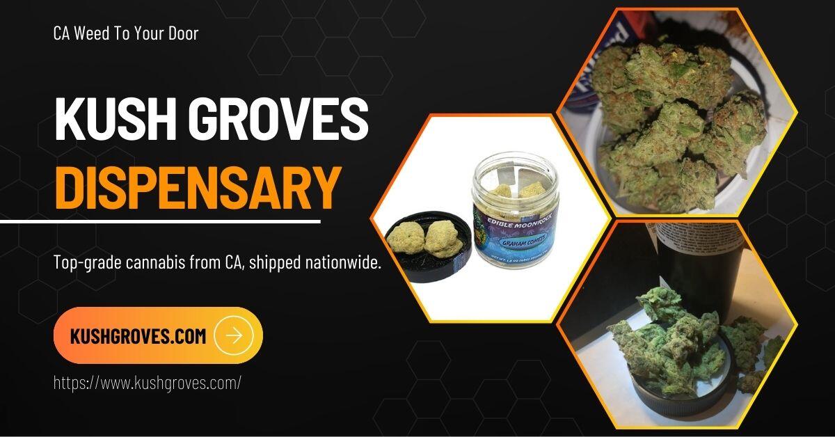 jungle boy weed dispensary near me